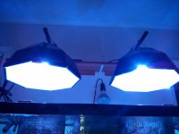 IMG_20131012_230449.jpg