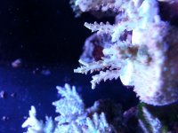20131020_125920.jpg