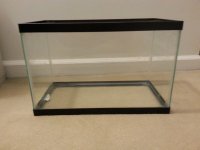 5gallon[1].jpg
