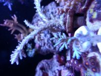 20131020_125855.jpg