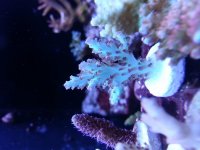 20131020_125824.jpg