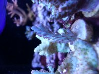 20131020_125830.jpg