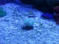 2013-04-30 20.15.25.jpg