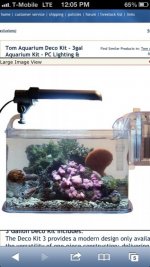 ImageUploadedByReefs1375113956.234964.jpg