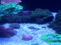 2013-04-30 20.15.16.jpg