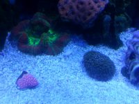 2013-04-30 20.15.05.jpg