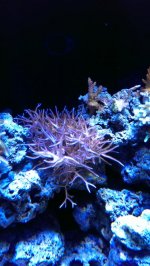 2013-09-09 21.29.02.jpg