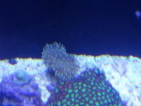 20130430_201647.jpg