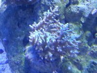 20130430_201627.jpg
