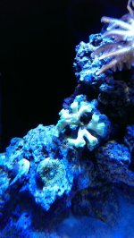 2013-09-09 21.29.26.jpg