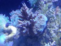 20130430_201615.jpg