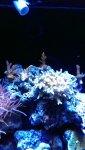 2013-09-09 21.29.59.jpg
