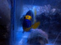 2013-04-08_19-51-19_364.jpg