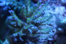 IMG_3703.JPG