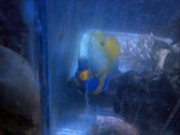 2013-04-08_19-51-42_123.jpg