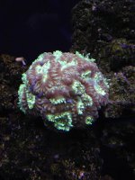 IMG_0863.jpg