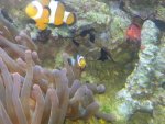 20130604_104138.jpg