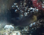 IMG_20130427_163140_104.jpg