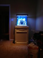 ImageUploadedByReefs1379076565.848932.jpg