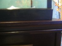 photo 3.JPG