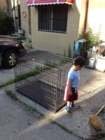 DOG3.JPG