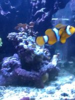 IMG_0485.jpg