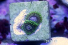 IMG_3768.JPG