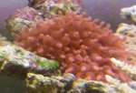 20131201_104743.jpg