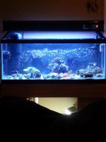 20130610_124403.jpg