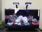 ImageUploadedByReefs1382629139.756719.jpg
