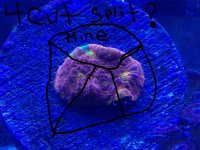 45G2.jpg