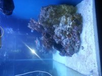 20130613_093227.jpg