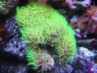 IMG_0984.jpg