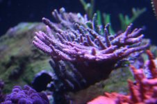 IMG_4825.jpg