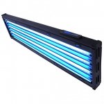 light 1.jpg
