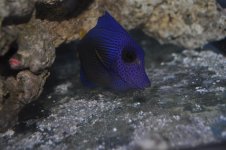 DSC_0008.jpg