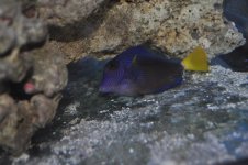 DSC_0007.jpg