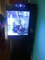 2013-04-11 16.42.07.jpg