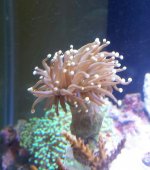 20131023_122350-1-1.jpg