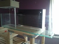 2013-04-11 16.51.27.jpg