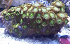 20131023_123007-1-1-1.jpg