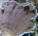 20131023_123211-1-1-1-1.jpg