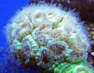 dsc05006-2.jpg