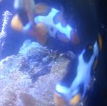 IMG_20131202_234458.jpg