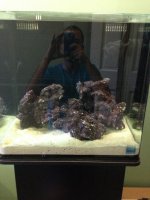 ImageUploadedByReefs1371209095.136592.jpg