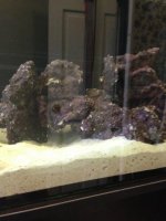 ImageUploadedByReefs1371209105.719228.jpg