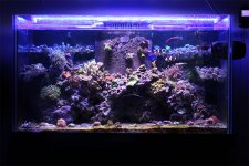 Full Tank 2013.jpg