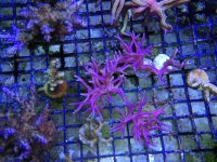IMG_2983.JPG