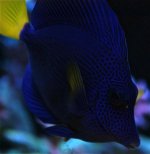 DSC_0032.jpg