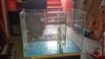 sump for 90 gal.jpg